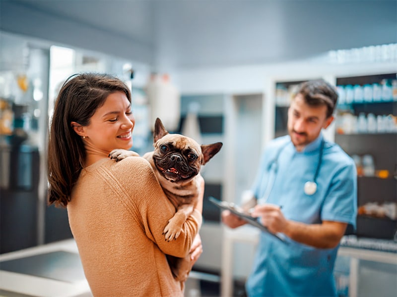 Cuidado veterinário humanizado