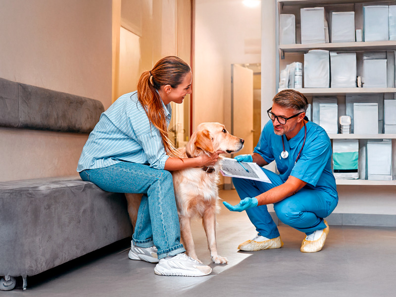 atendimento veterinário humanizado