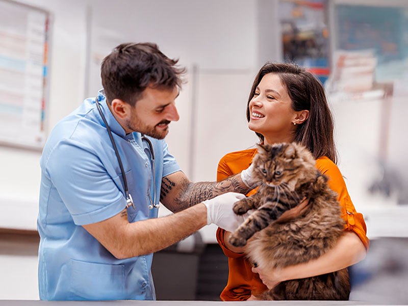 crescimento do mercado pet