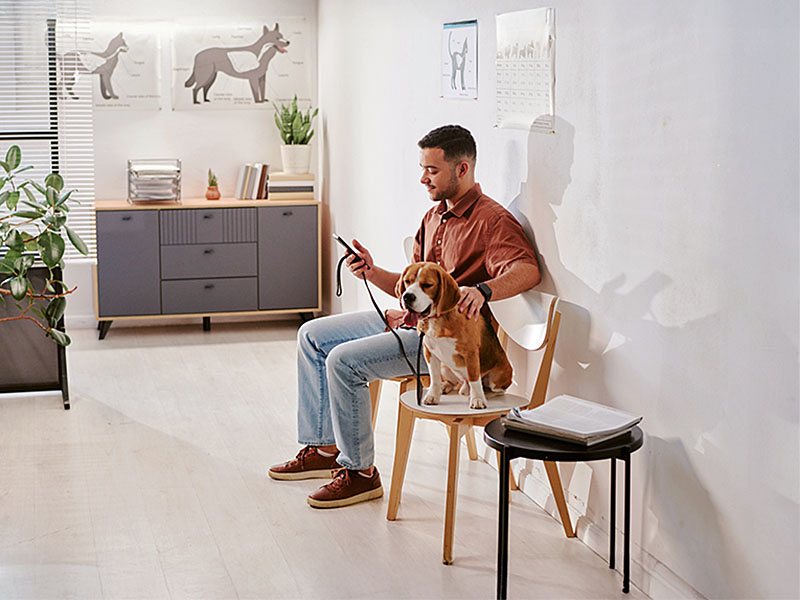 Beevets franquia veterinária